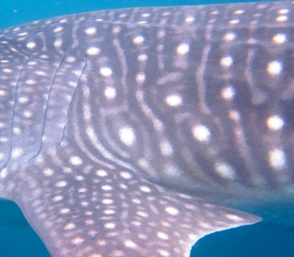 1696b392-0623-4727-a18b-30d450dc15c5