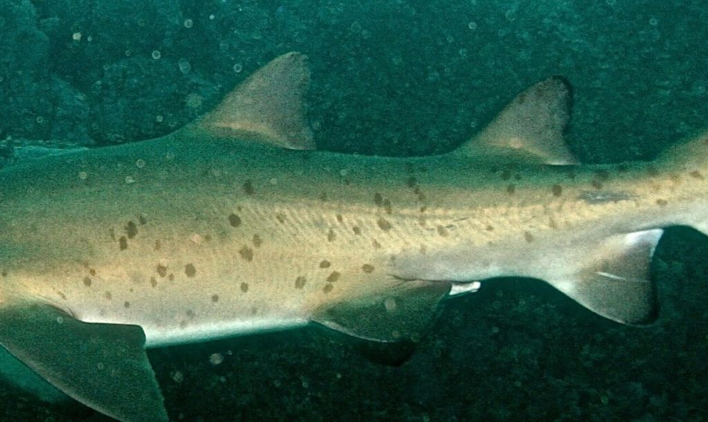 9494ff7d-6d0e-44f9-b1c7-58694cc81606