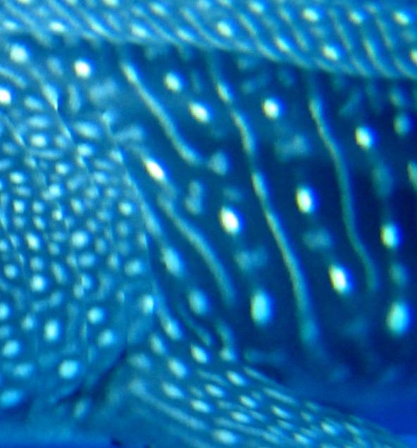 48af4dc6-2c0a-4662-b19c-b5fe7e10e11e