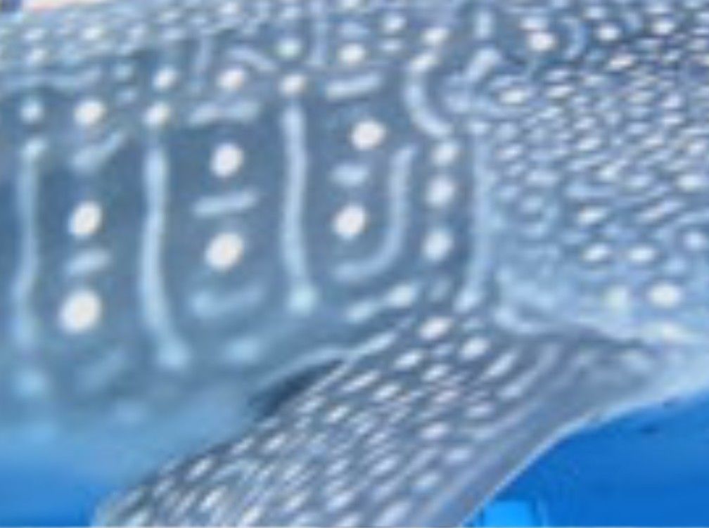 48af4dc6-2c0a-4662-b19c-b5fe7e10e11e