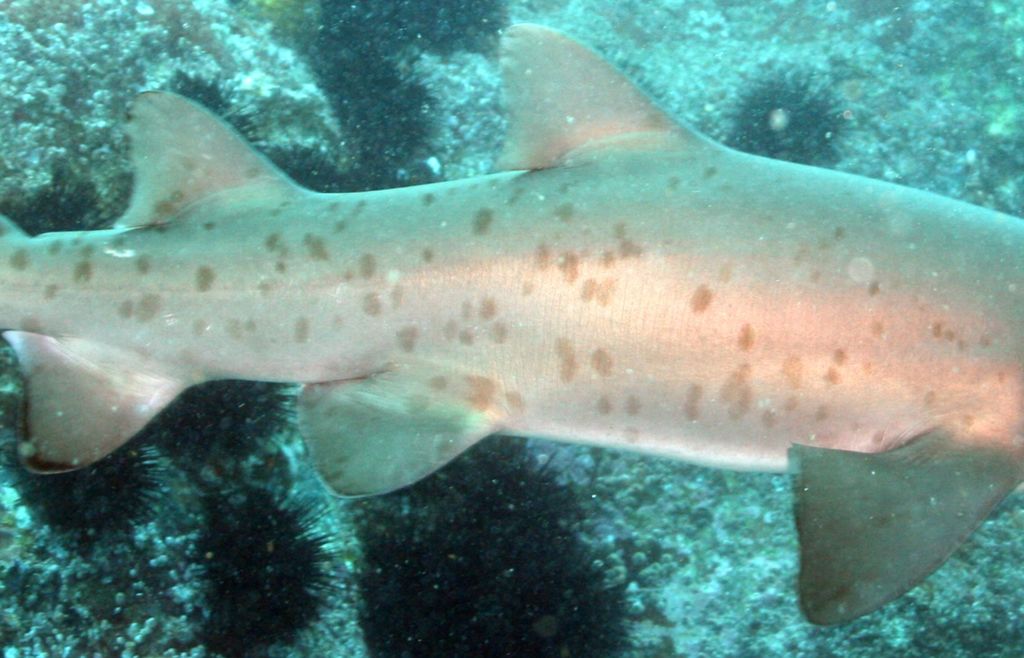 451d2b02-0b16-42be-872e-bddecea7eca2