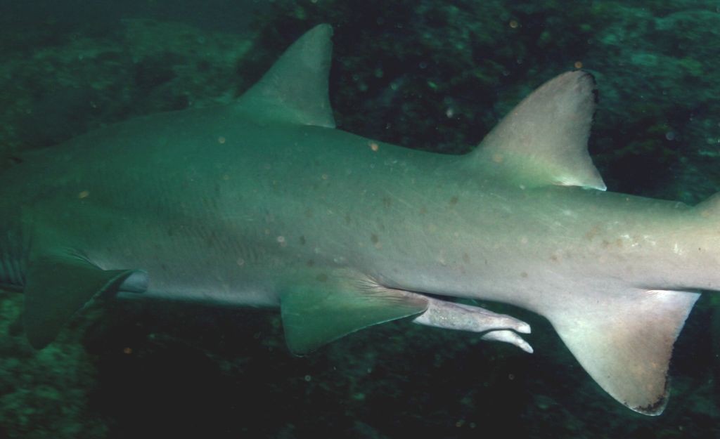 3b9a911a-0229-494e-b988-4591bf5c4bb6