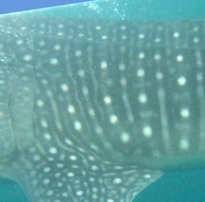 b84961a2-25e3-47b5-b3ec-10bb0e60cc08