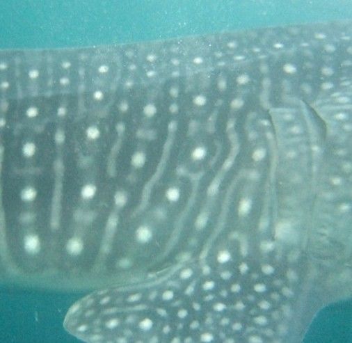 b84961a2-25e3-47b5-b3ec-10bb0e60cc08