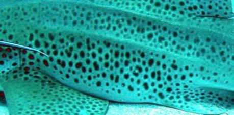 4d9b2a44-e5e0-458b-b15d-4c9417301232