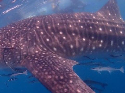 adaa929e-23ad-4a1d-90a0-bdfea64dd760