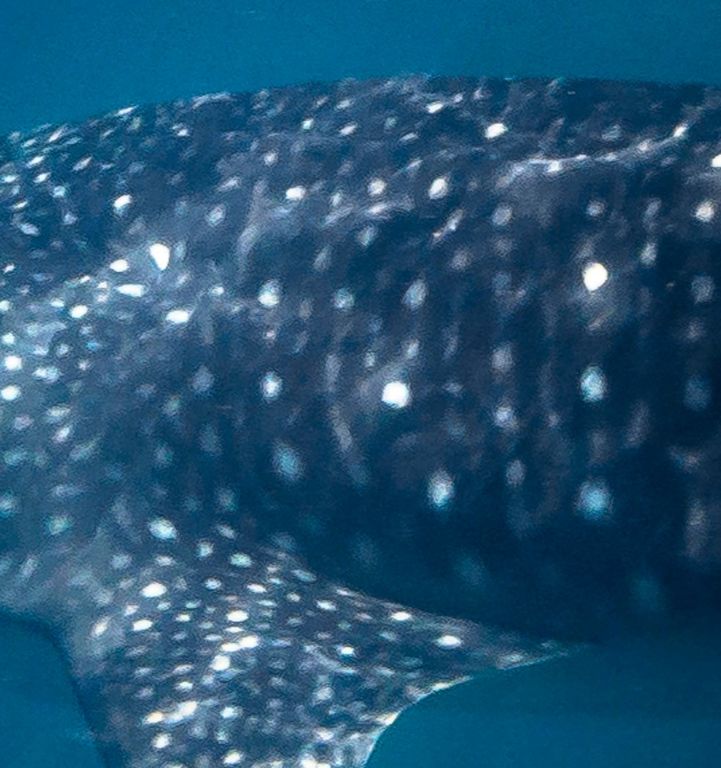 53d5b563-0610-4104-a492-872b6b7504ac