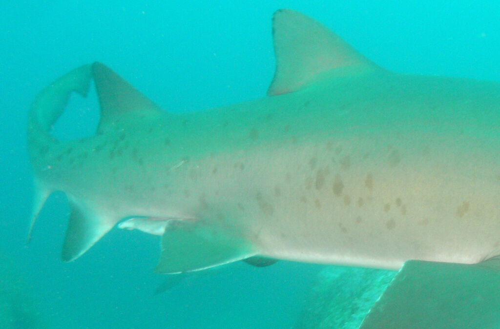 039edaf4-8f89-4fb6-939f-f88d2ad03a81