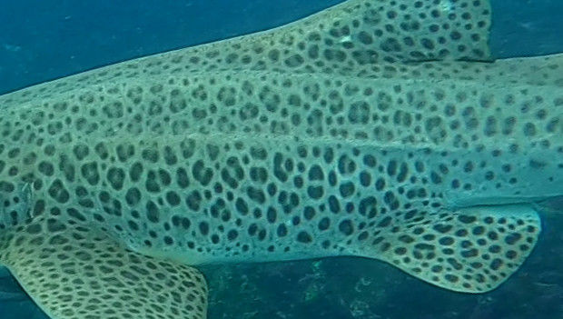 a94a7c22-4cea-4a0a-815b-ccfec7798497