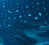 0cfe4a84-52d9-454e-b5fd-fac66c93c7f5