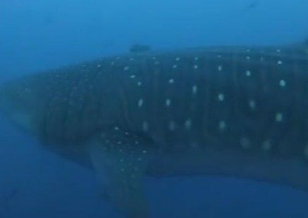 70d1093e-1819-42a6-ae9c-011f33f46095