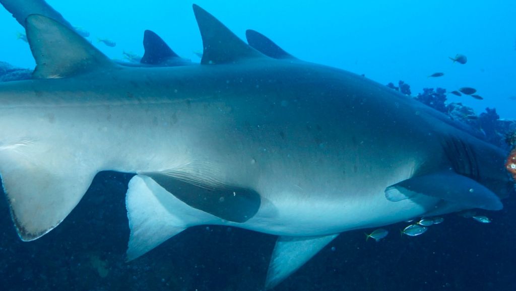 1703228b-2ae2-406b-88b6-75ed13fc9b2b