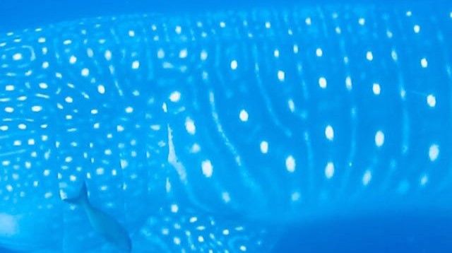 71f3b2e6-9703-43d8-b790-ccd21cc9b87c