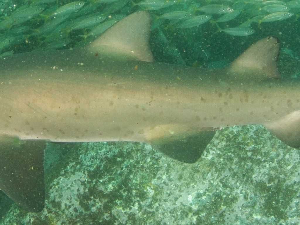 184b3a22-3538-45a3-8b50-303db5d2103a