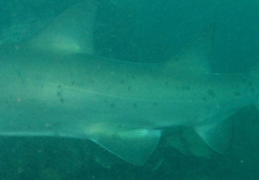 5b51f378-78a1-487f-8c6a-300b60885402