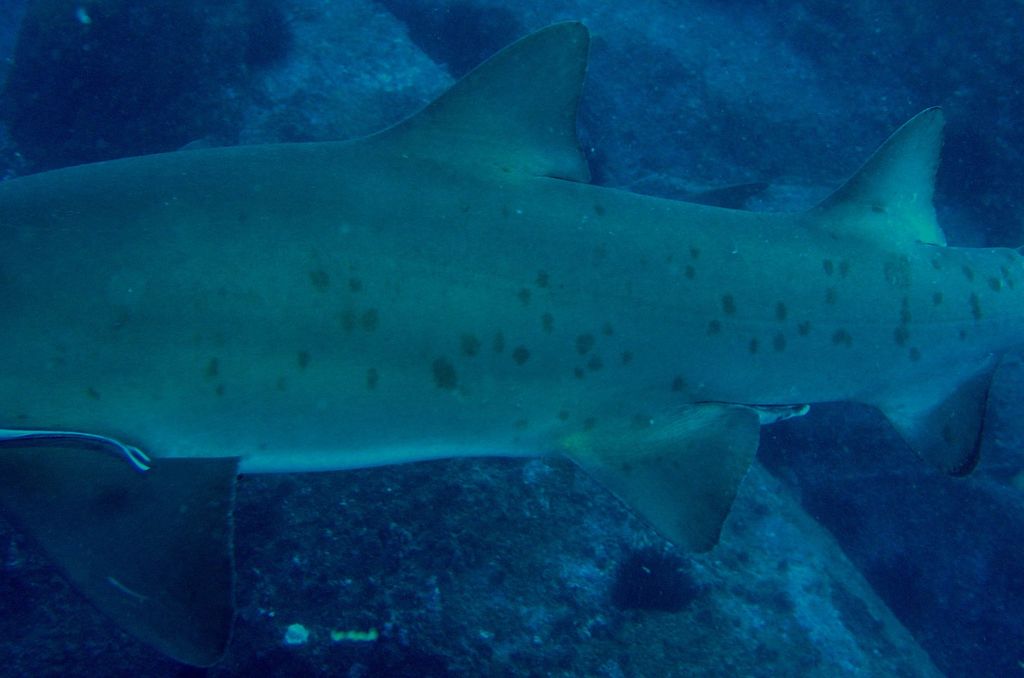 16cc3763-00d5-4467-8765-77752617c02a