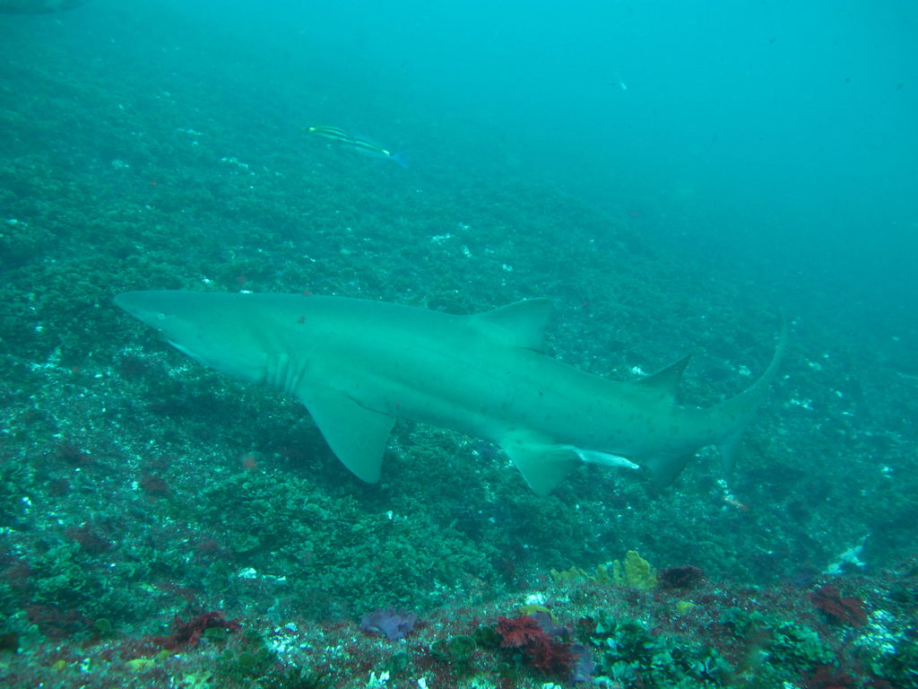 7e5ce738-803f-459e-a008-c1bbbecb43a9