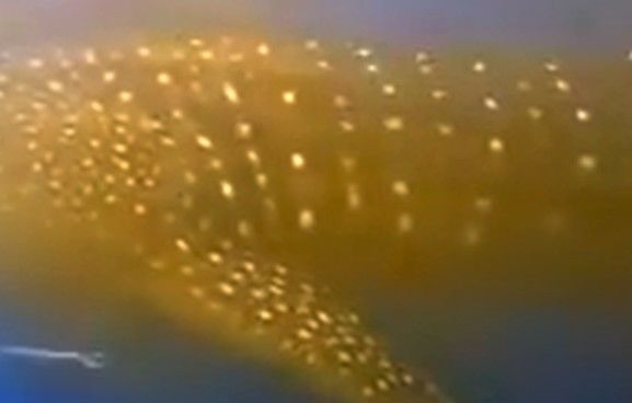 16aeb1a0-37bc-4610-b204-1aa070f6487f