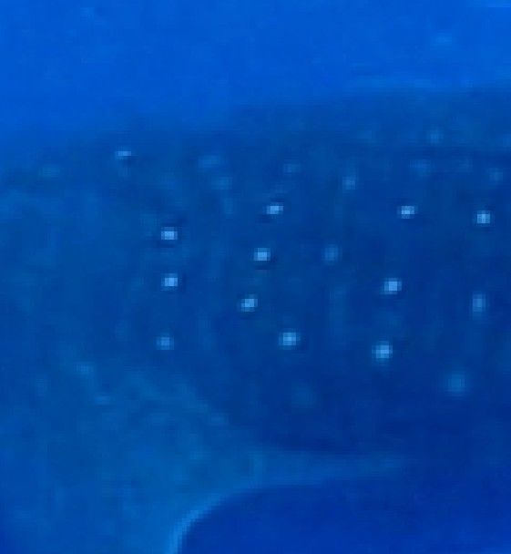 f84ebae1-5fcb-4040-86c4-079a9c1c36d8