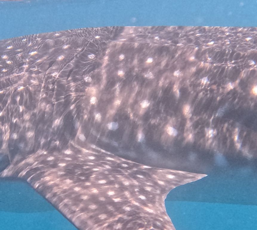 c4abd894-e812-4c24-9bf0-9cea26b0f984