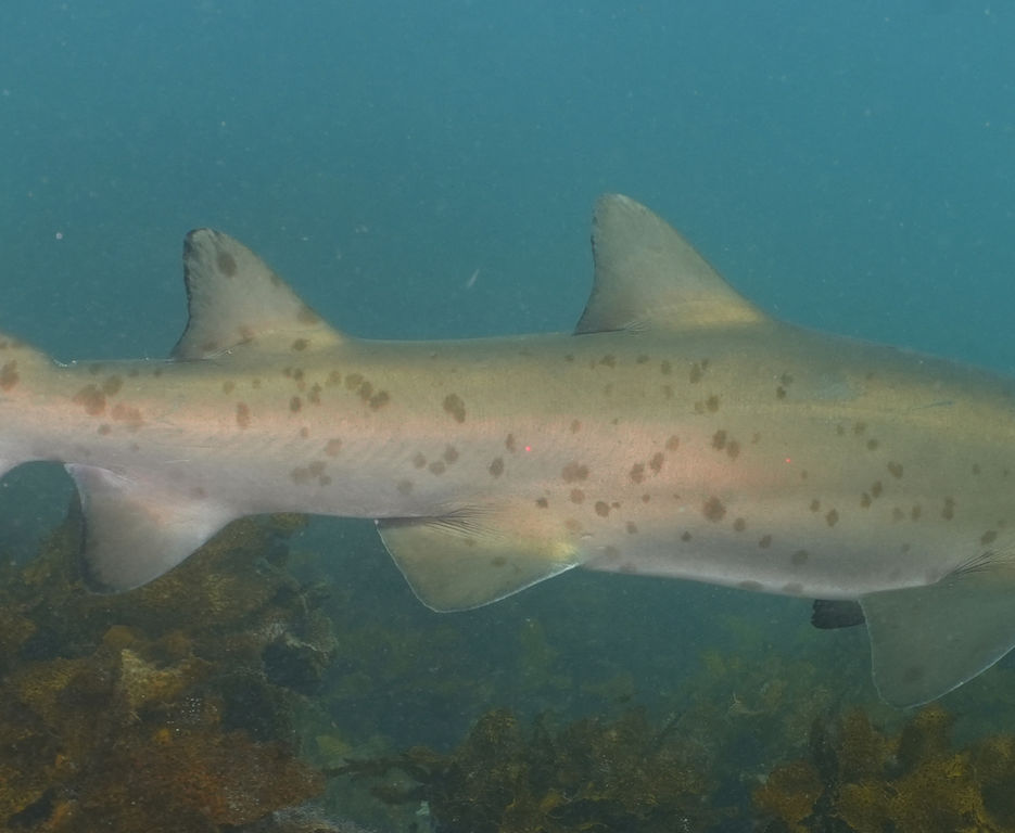 c7db21a1-9038-429c-9bd2-ee39ea572c4a