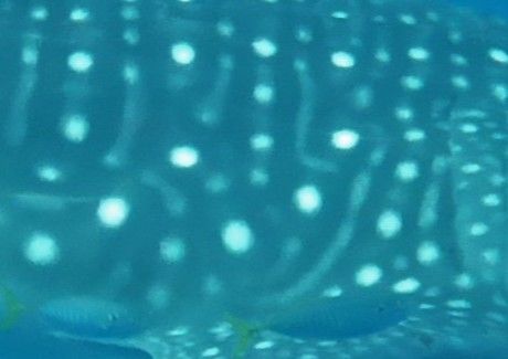 d45b8fd6-caef-4a39-8bcd-15687b199bf0