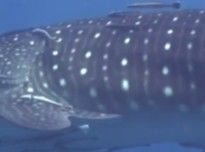 5d7240cf-0eb5-4353-aad4-be8369f4c875