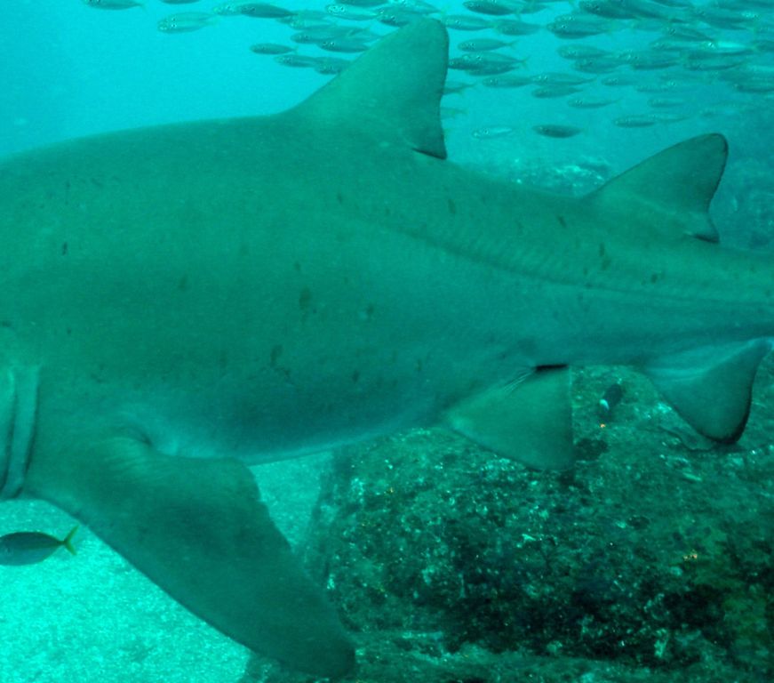 e7d7adb4-a86d-45ee-afe3-872ad8397cc5