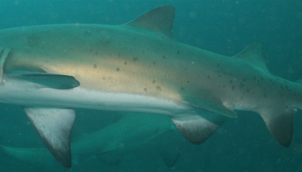 c28a84cb-99ff-4b82-8406-0e453c0d6121