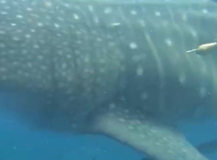 91bce728-6614-408d-af4a-1ba83c39742c