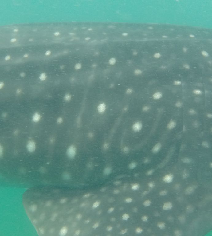 71cd50ce-27d2-4d04-890e-62be56b8e1a7