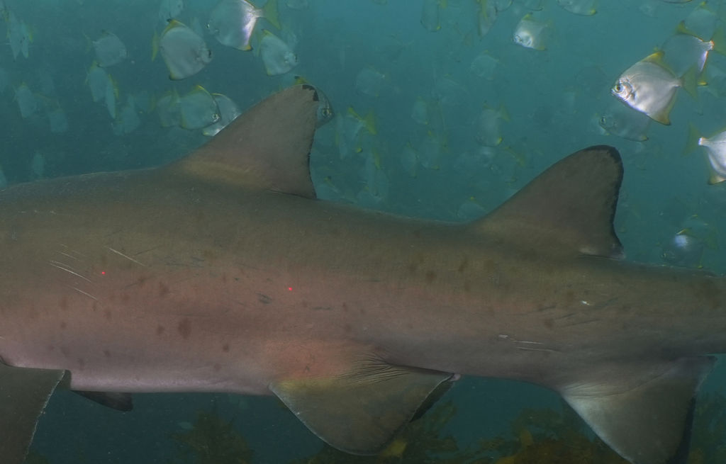 d70d8610-d18f-4019-a555-ffc0a204f972