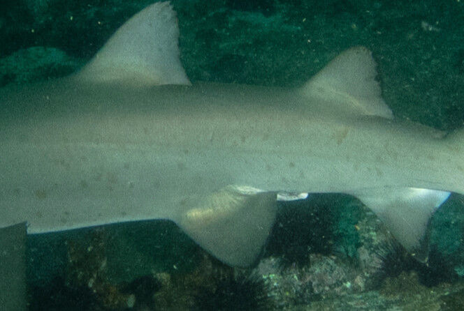 85fe33f7-e8bb-450f-8627-2923f226433a