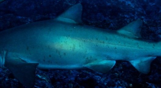 aa187641-5e41-43ba-9aa6-c528569cac0f