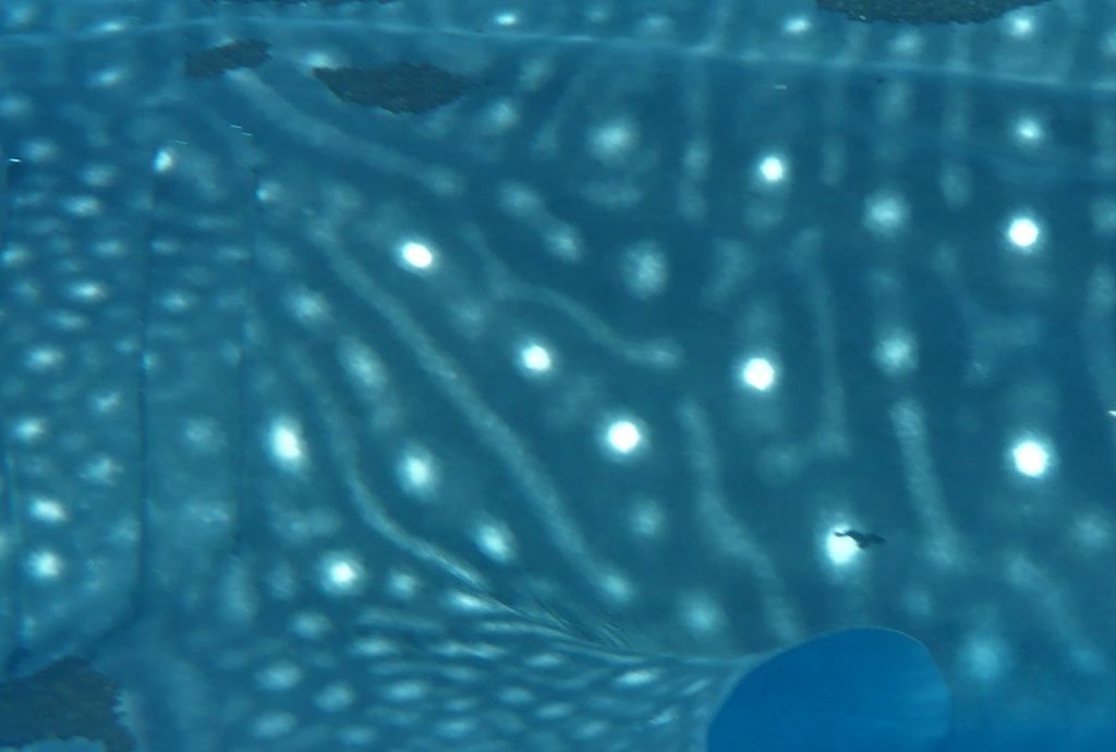 296d9af0-cb12-40c3-bc0f-903bdc877a07