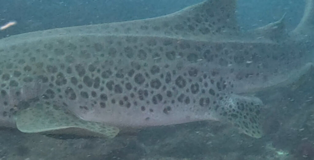 ebc464dd-aab1-417f-a270-5ac76ca1d8ff