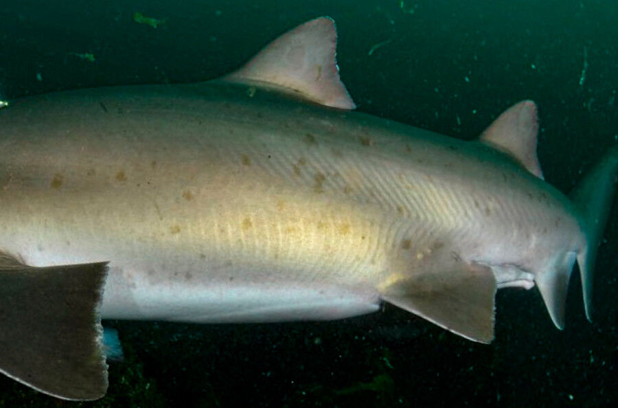 1331fea0-a09c-40c1-ba11-154bad19fcd2