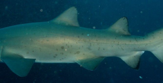 9444ab6f-55bf-49f9-97b1-c4d6eb147355