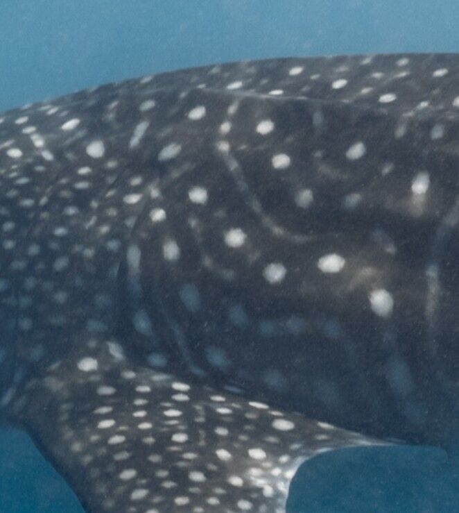 ebe49154-d88a-4bd3-88d1-e5b1e850fe58