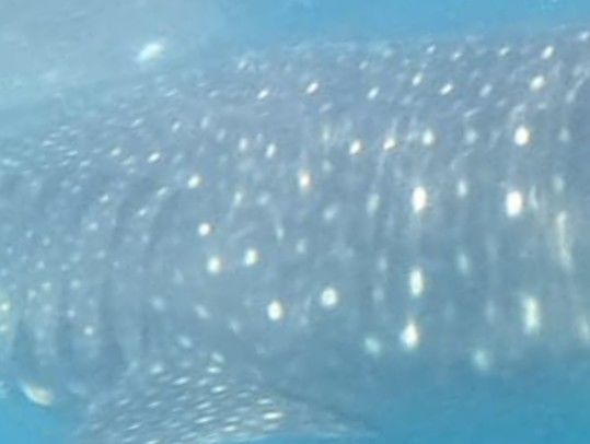 b0ea559e-08e9-4d85-b99c-d0f9f5d9ecb6