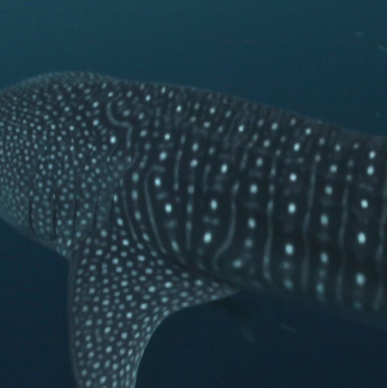 1527b240-ecd1-4beb-9e65-ce58598e9f75