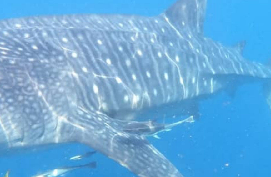 b67b3824-259e-44b6-9473-ade1d90f41ef