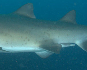 90536d56-d1dc-4fa5-8225-2290eee09428