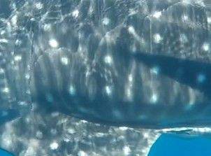 f8718fc0-40ce-4c3c-8a7c-c299972a9022