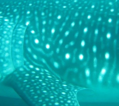 95b89793-d652-4598-9d6b-b301ed1a2a6f