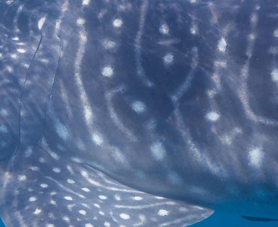 100c2eec-e34b-4387-aca9-0fd220382f7d