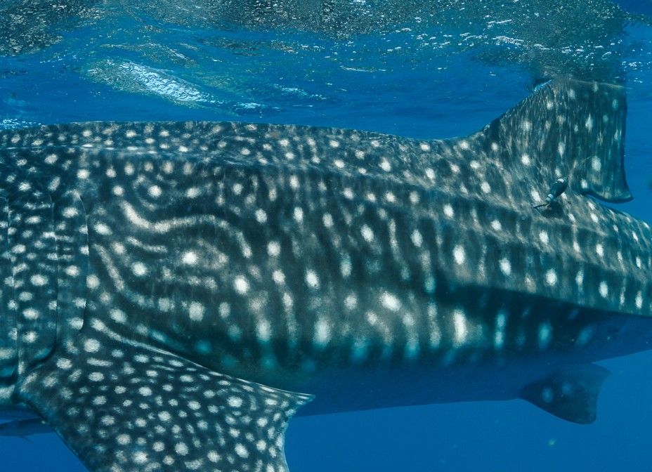 2307868c-6d50-48b6-95ee-a0a876fe81f7