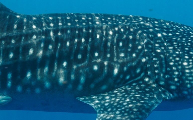 2307868c-6d50-48b6-95ee-a0a876fe81f7