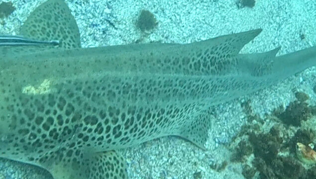 e1aef6cb-d23c-4f57-8cd7-3a56fa6e9dd8