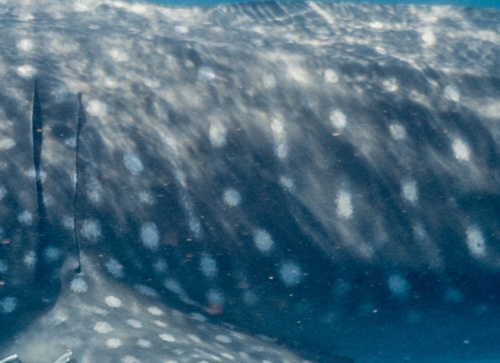 13a64151-5e17-4699-95b3-c908240bd632